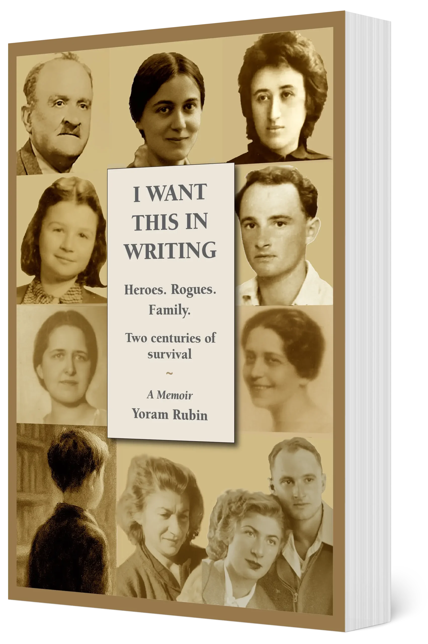 I Want This in Writing book cover image